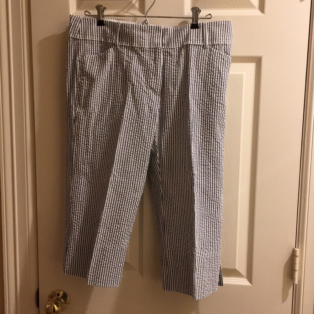 BCBG MaxAzria Capri pants